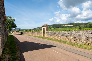 Vineyards around Puligny-Montrachet village, Burgundy, France. High quality white dry wine making...