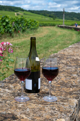 Tasting of red pinot noir wine on grand cru vineyards with cross and stone walls in Cote de nuits, making of famous red and white Burgundy wine in Burgundy region, Vosne-Romanee village