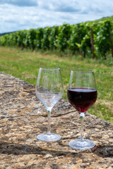 Tasting of red pinot noir wine on grand cru vineyards with cross and stone walls in Cote de nuits, making of famous red and white Burgundy wine in Burgundy region, Vosne-Romanee village