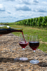 Tasting of red pinot noir wine on grand cru vineyards with cross and stone walls in Cote de nuits, making of famous red and white Burgundy wine in Burgundy region, Vosne-Romanee village