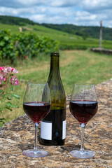 Tasting of red pinot noir wine on grand cru vineyards with cross and stone walls in Cote de nuits, making of famous red and white Burgundy wine in Burgundy region, Vosne-Romanee village