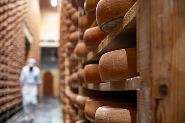 Aging rooms with shelves in cheese caves, central location for aging of wheels, rounds of Comte cheese from four months to several years made from raw cow milk, Jura, France