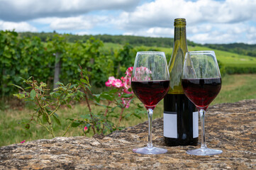 Tasting of red pinot noir wine on grand cru vineyards with cross and stone walls in Cote de nuits, making of famous red and white Burgundy wine in Burgundy region, Vosne-Romanee village