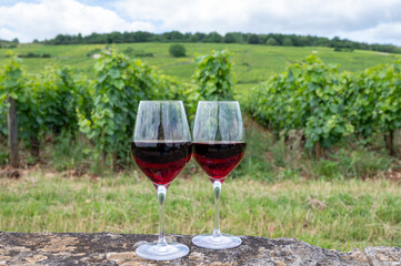 Tasting of red pinot noir wine on grand cru vineyards with cross and stone walls in Cote de nuits, making of famous red and white Burgundy wine in Burgundy region, Vosne-Romanee village