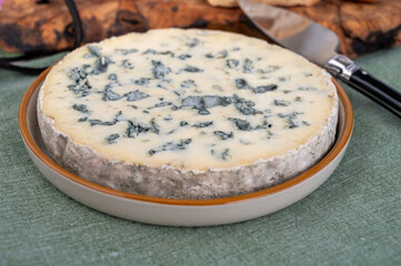Cheese collection, piece of French blue cheese auvergne or fourme d'ambert