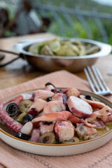 Tasty salad or starter seafood dish, grilled octopus ligurian style with green and black olives served in Italian  restaurant
