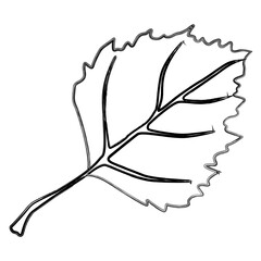 Nature design of linden leaf.