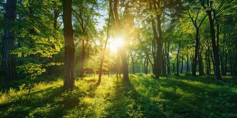 Beautiful morning in a sunny green forest. AI generation