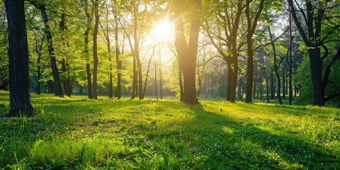 Beautiful morning in a sunny green forest. AI generation