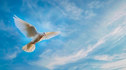 Obraz premium Flying dove. White pigeon against blue sky.