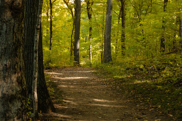 Hiking trail through the Pike Lake Unit, Kettle Moraine State Forest, Hartford, Wisconsin on an autumn morning