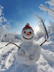 Obraz premium Snowman takes a selfie