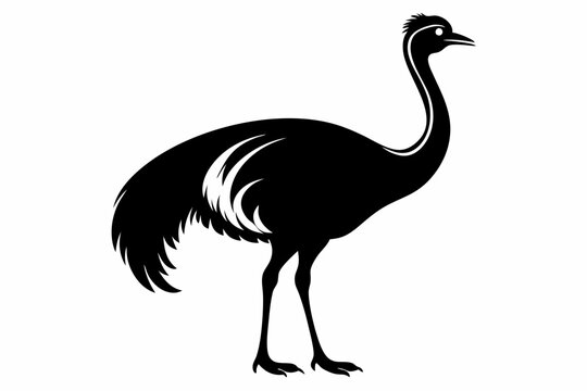recommend clip art: simple vector silhouette of a Cassowary