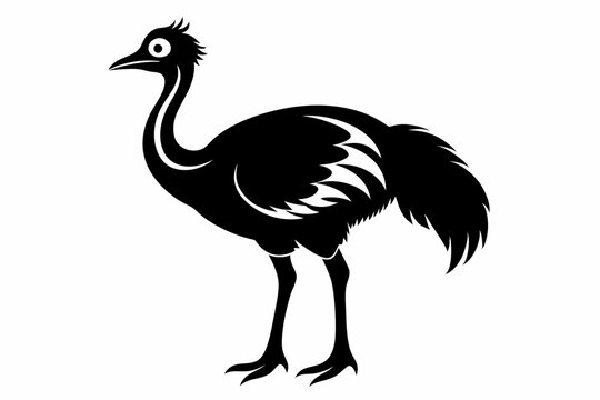 recommend clip art: simple vector silhouette of a Cassowary