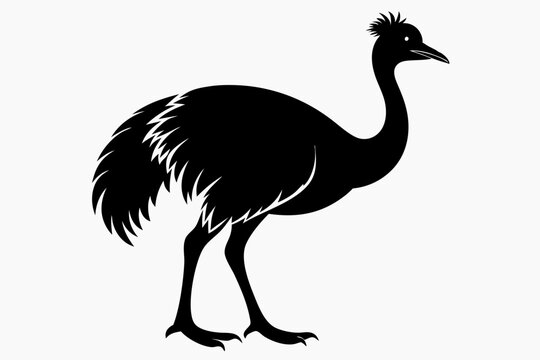 recommend clip art: simple vector silhouette of a Cassowary