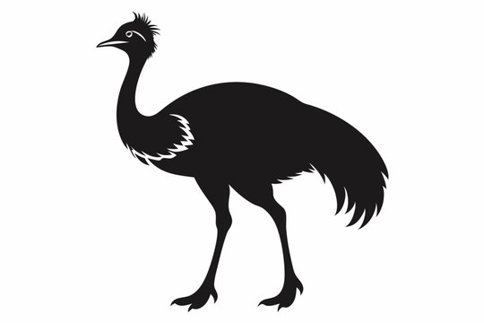 recommend clip art: simple vector silhouette of a Cassowary