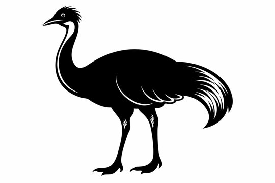 recommend clip art: simple vector silhouette of a Cassowary