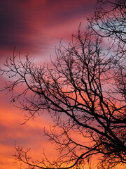 Coucher de soleil paysage ciel