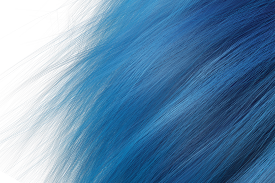 Blue hair with white background