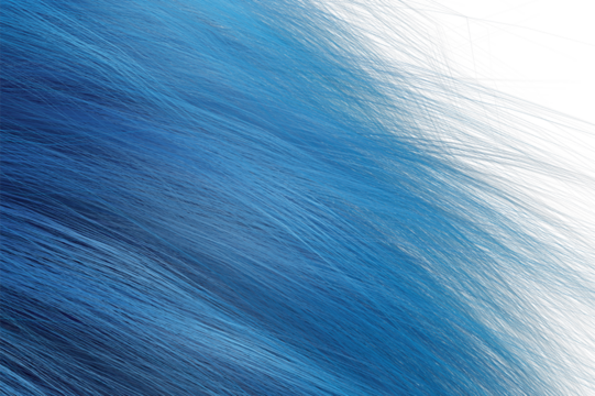 Blue hair with white background