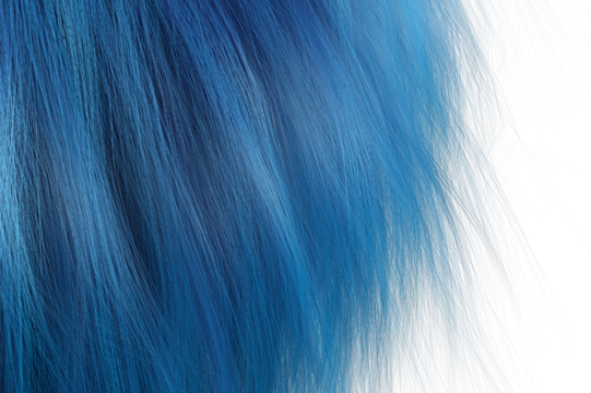 Blue hair with white background