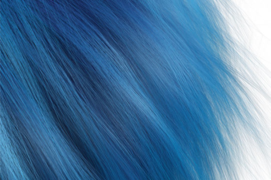Blue hair with white background