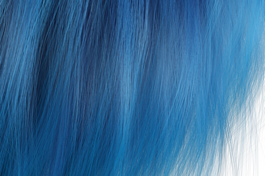 A close-up of a blue hair, Close up blue hair wave