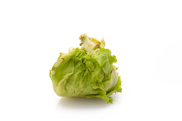 rotten iceberg salat