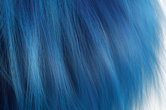 A close-up of a blue hair, Close up blue hair wave