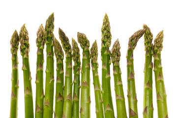 green asparagus art