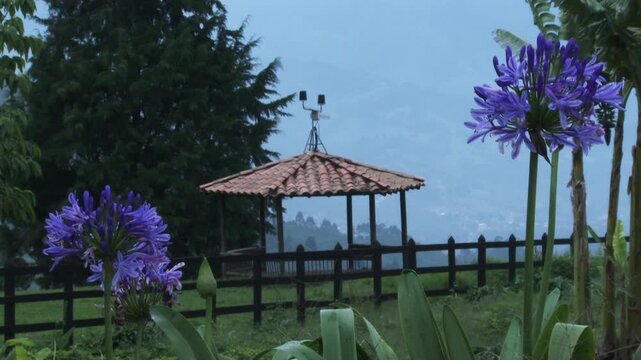 Quiosco en una tarde colombiana