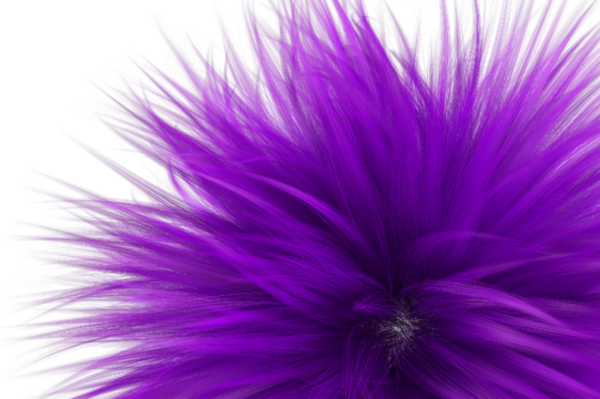 A close-up of a purple hair, Close up purple hair wave