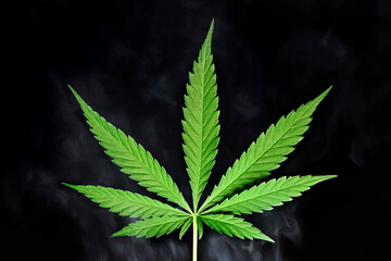 Marijuana, cannabis leaf with smoke isolated on black background, green hemp leaf on black