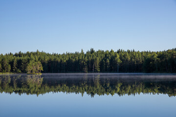 beautiful lake view with blue sky and green trees
