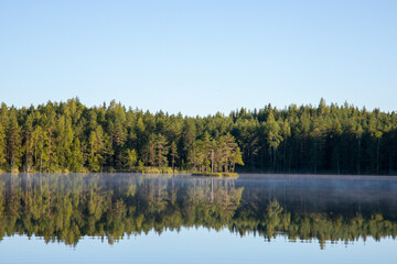 beautiful lake view with blue sky and green trees