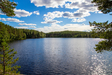 beautiful lace scenery in finland. green trees and blue skies.