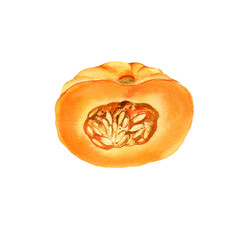 watercolor half of ripe orange pumpkin for cooking, half of fruit with flesh and seeds, autumn harvest illustration, hand drawn sketch, white background