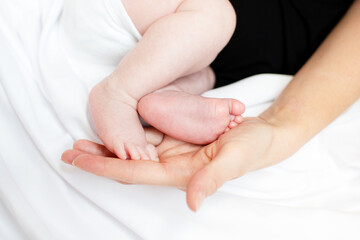Fototapeta premium Mother's hand holding tiny newborn baby feet. Motherhood concept