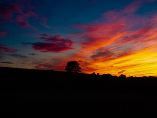 Burger Hill Sunset New York