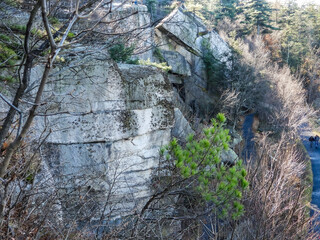Mohonk Mountain house Property