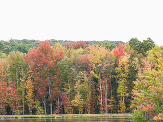 NY Fall Foliage