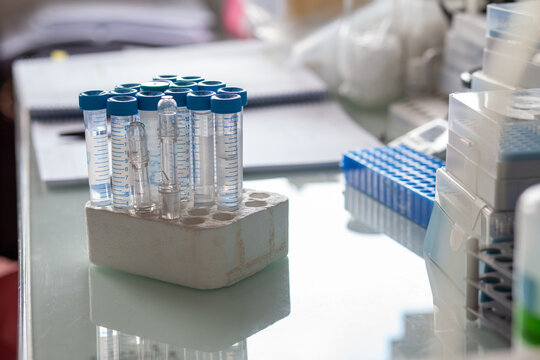 scientific research, tubes on a glass table in scientific laboratory
