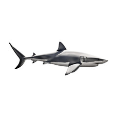 Fototapeta premium shark swimming isolated on transparent background