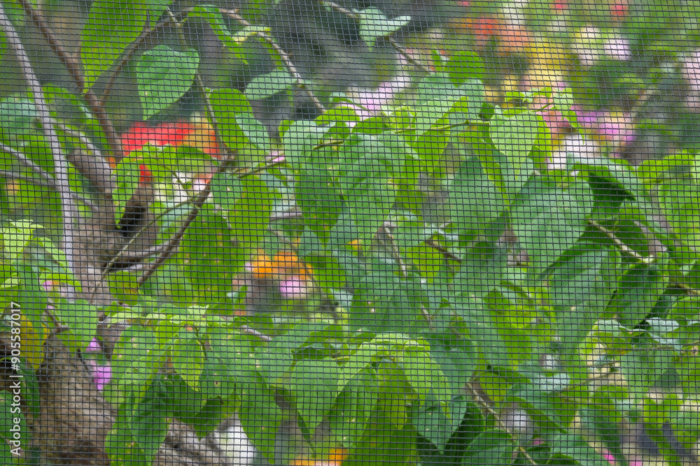 Poster paranet net to protect plants. the net protects plants from pests and other diseases. abstract patte