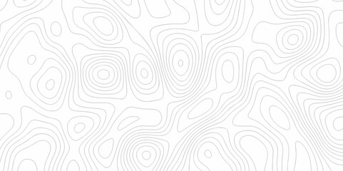 Topography wave line vector grid map. white wave line geography landscape Topo contour map on white background. Geographic mountain relief diagram line wave carve pattern.