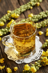 Mullein tea in a glass cup