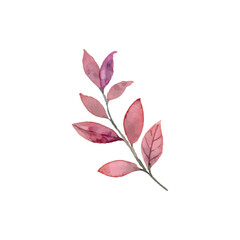 floral and leaf watercolor