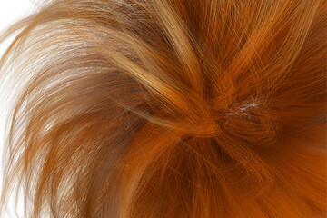 Naklejka premium Brown wavy hair, Closeup on luxurious curly brown hair with highlights.