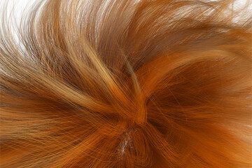 Naklejka premium Brown wavy hair, Closeup on luxurious curly brown hair with highlights.