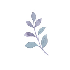 floral watercolor decoration